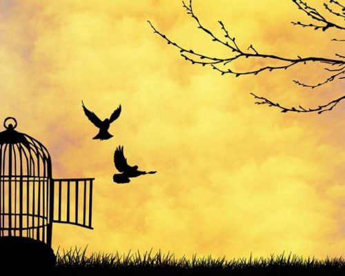 Believes all people should have fundamental freedoms